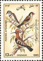 Eurasian Hoopoe (Upupa epops)