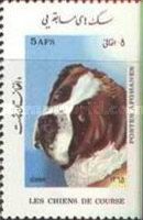 St. Bernard (Canis lupus familiaris)