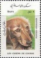 Long-haired Dachshund (Canis lupus familiaris)