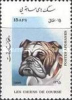 Bulldog (Canis lupus familiaris)