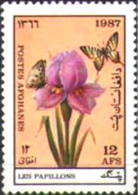 Iris, Scarce Swallowtail (Iphiclides podalirius), Apollos (