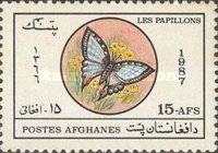 Swallowtail Butterfly (Papilio sp.)