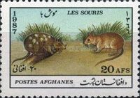 Spotted and Ginger Mice (Mus sp.)