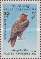 Bearded Vulture (Gypaetus barbatus)