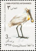 Eurasian Spoonbill (Platalea leucorodia)