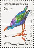 Gray-headed Swamphen (Porphyrio porphyrio)