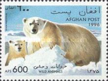 Polar Bear (Ursus maritimus)