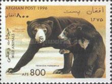 Malayan Sun Bear (Helarctos malayanus)