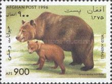 Grizzly Bear (Ursus arctos horribilis)