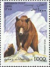 European Brown Bear (Ursus arctos arctos)