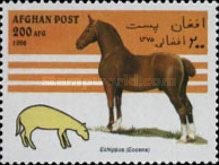 Horse (Equus ferus caballus), Epihippus (Eocene)