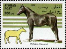 Horse (Equus ferus caballus), Miohippus (Oligocene)