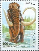 Woolly Mammoth (Mammuthus primigenius)