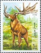 Irish Elk (Megaloceros giganteus)