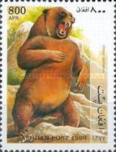 Cave Bear (Ursus spelaeus)