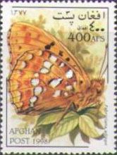 High Brown Fritillary (Fabriciana adippe)