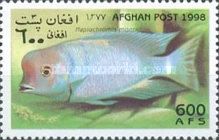 Humphead Cichlid (Haplochromis moorii)