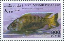 Flavescent Peacock (Aulonocara stuartgranti)