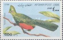 Knysna Turaco (Tauraco corythaix)