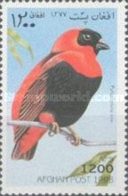 Southern Red Bishop (Euplectes orix)