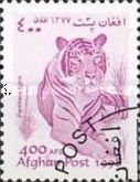 Tiger (Panthera tigris)