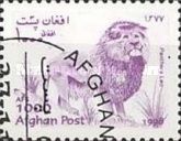 Lion (Panthera leo)