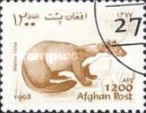Stone Marten (Martes foina)