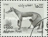 Red Fox (Vulpes vulpes)