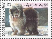 Bobtail (Canis lupus familiaris)