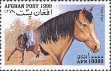 Paso Fino (Equus ferus caballus)