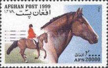 Don (Equus ferus caballus)
