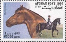Hannoverian (Equus ferus caballus)