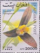 Shaggy-lipped Lycaste (Lycaste lasioglossa)