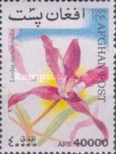 Laelia autumnalis