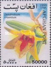 Blood Red Dendrobium (Dendrobium cruentum)