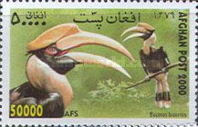 Great Hornbill (Buceros bicornis)