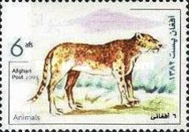 Leopard (Panthera pardus)