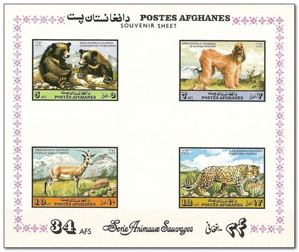 Wild Animals