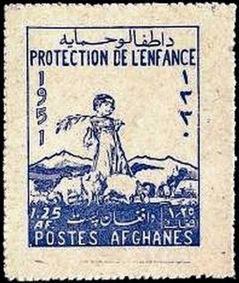 Young Shepherd, Domestic Sheep (Ovis gmelini aries)