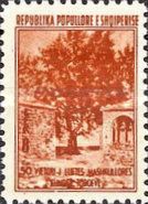 Buidings and tree, Mashkullorë