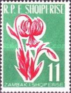 Turk's Cap Lily (Lilium martagon)