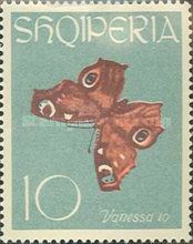 European peacock (Vanessa io)
