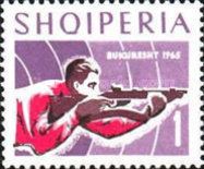 Small-bore rifle shooting, prone