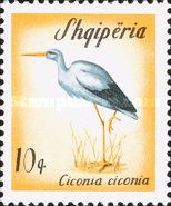 White Stork (Ciconia ciconia)