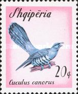 Common Cuckoo (Cuculus canorus)