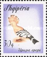 Hoopoe (Upupa epops)