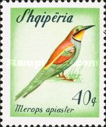 European Bee-eater (Merops apiaster) 