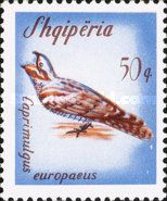 Eurasian Nightjar (Caprimulgus europaeus)