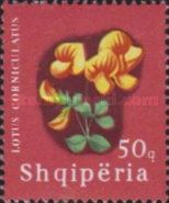 Bird's-foot Trefoil (Lotus corniculatus)
