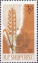 ‭Arms of Republic and Wheat